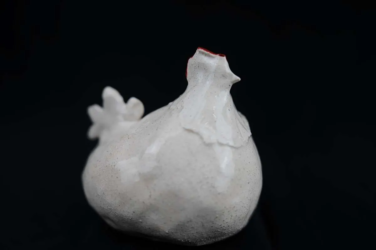 Gallina - Image 2